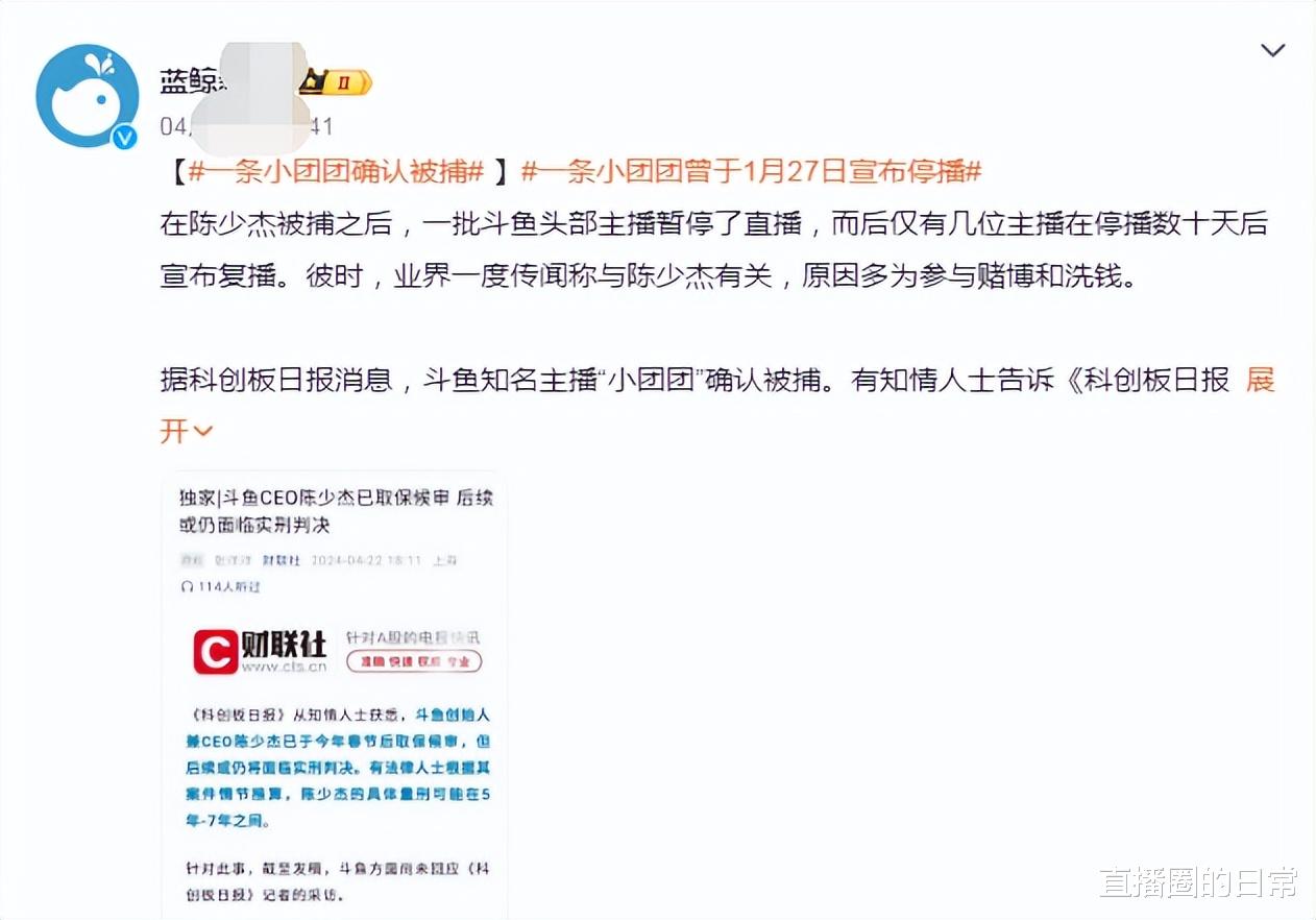 <em>一条小团团</em>确认被捕！网友：原以为是停播退网，没想到是落网了！