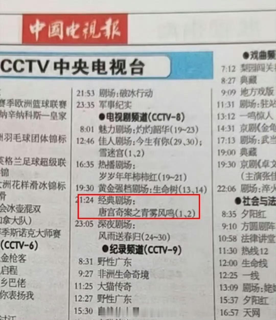 白鹿，王星越《唐宫奇案之青雾风鸣》上星央8次黄金档，2月5日（下周四）播出，期待