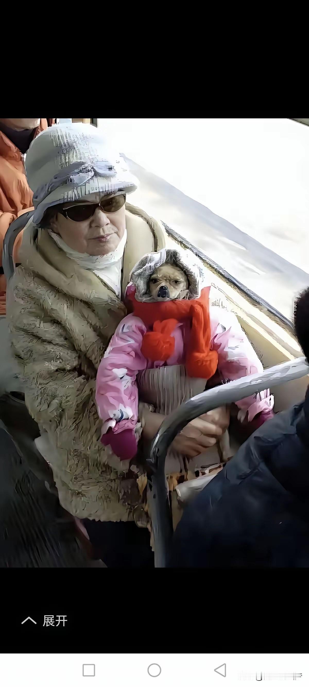 本来以为是奶奶抱娃，走近一看是只穿棉袄的狗子，这穿搭精致度甩我十条街！关键小狗挺
