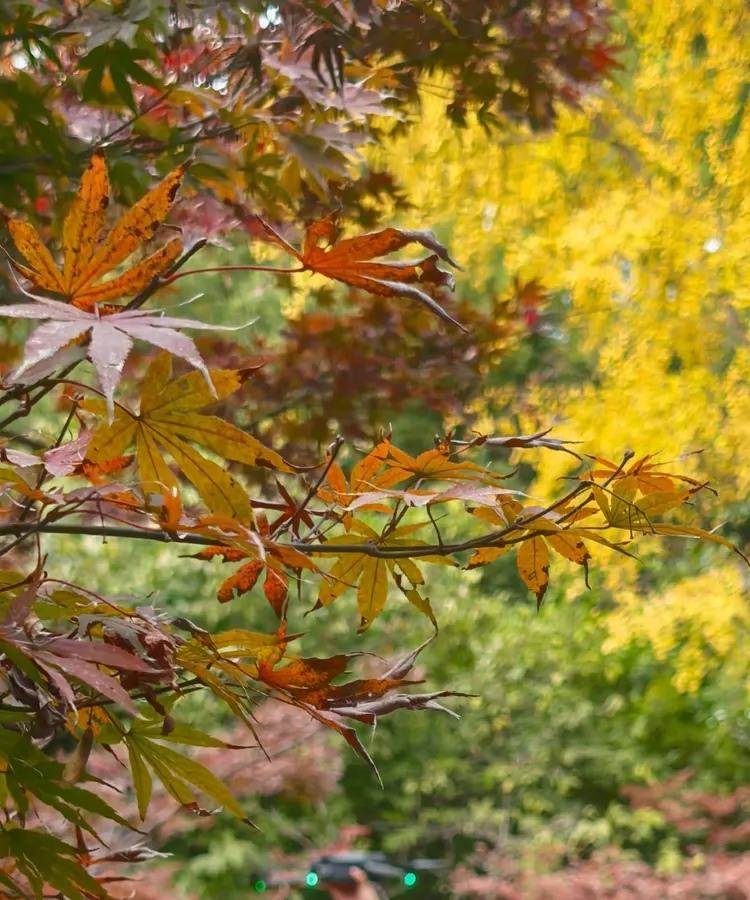 我从来不劝不想结婚的人结婚，不论男女。结婚这事儿都是自愿的，遇到对的人就结婚