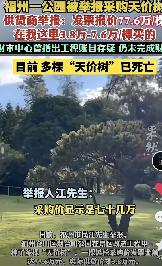 3.8万买的树竟然能报采购价近80万一棵，要不是树的供货商与采购方之间发生债务纠