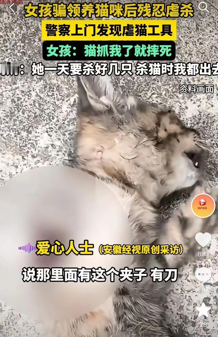 太残忍了！山东菏泽，一女孩在网上假装喜欢猫来骗领养，结果回家后就虐杀，她奶奶称，