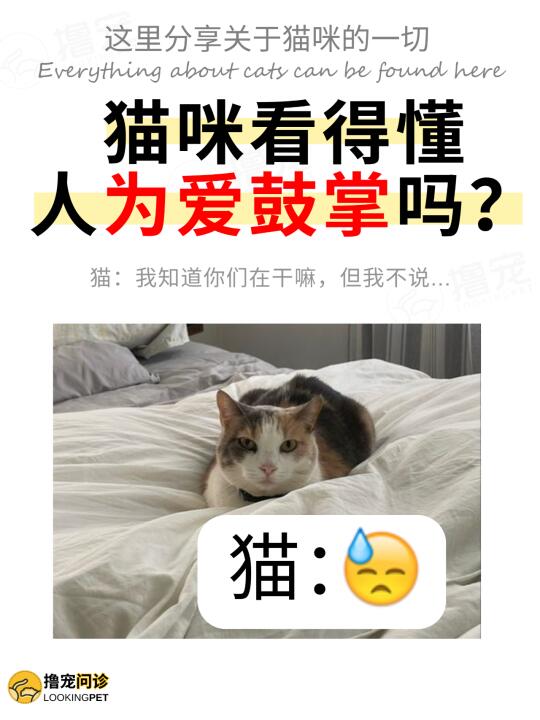 猫：我是主人，我不同意你们做这种事！