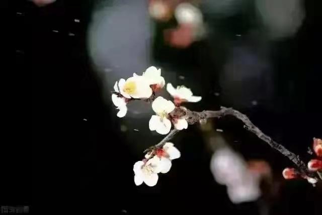 很多恶人不明白，他们事事争着抢着，到处算计着，处处谋划着，为了得到更多，他们用恶