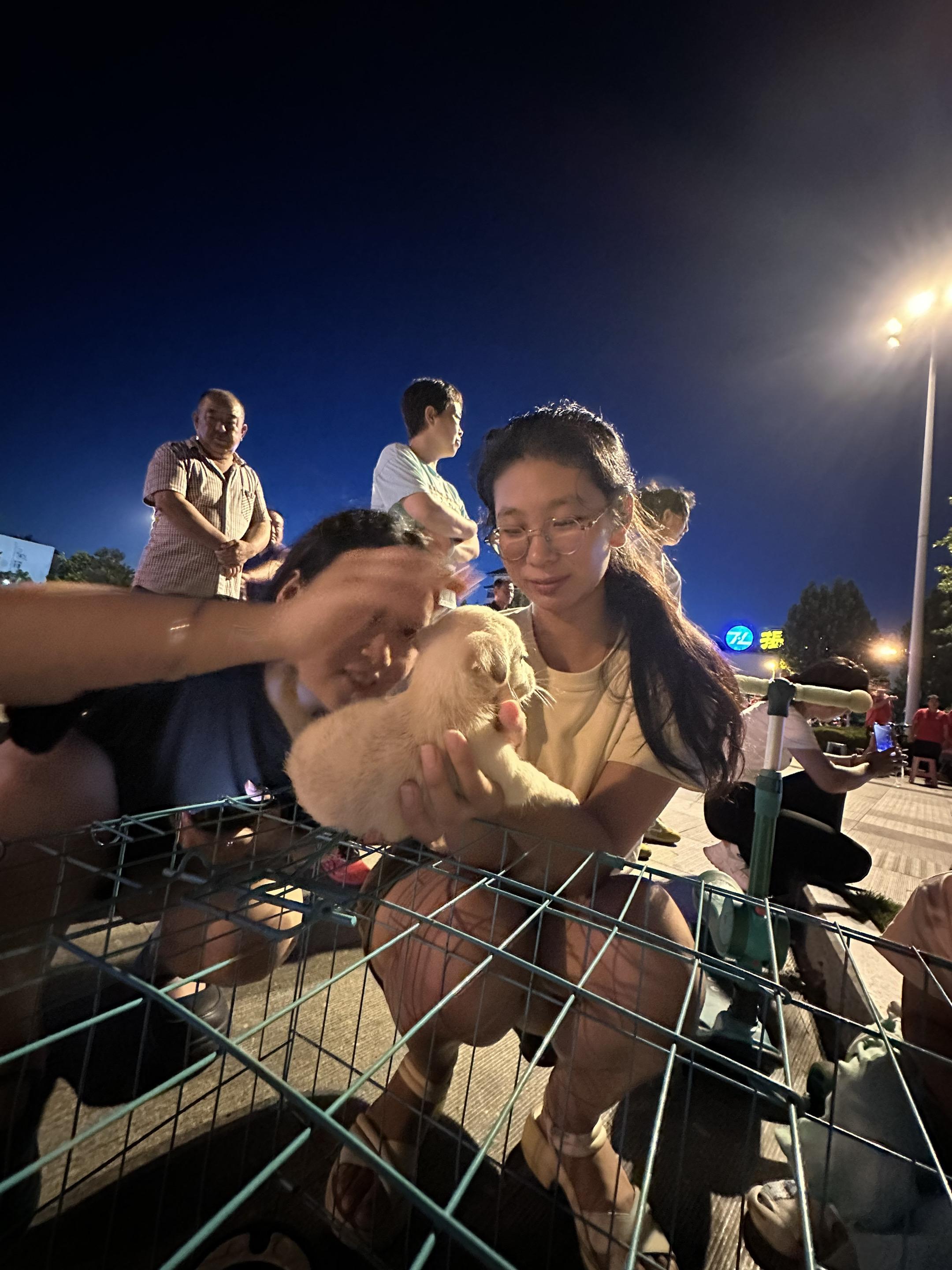 希望越来越多的年轻人像图片里的美女一样有爱心，也希望每一个小狗狗都能有...