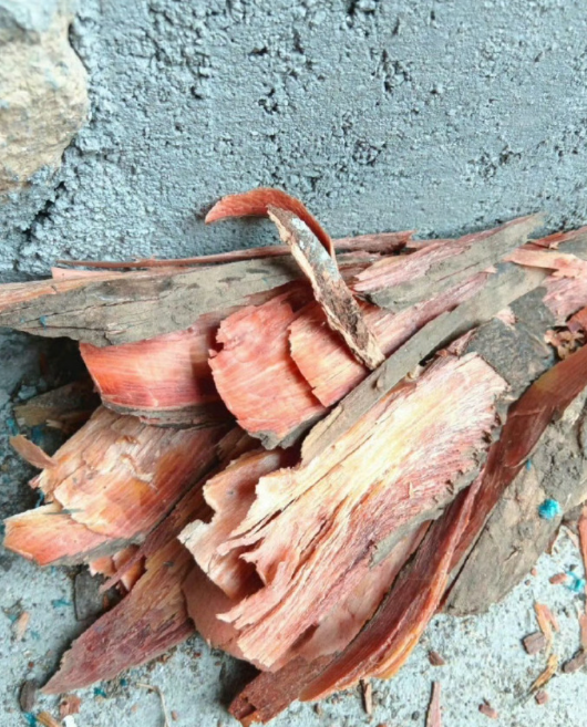 应该只有80后知道这干嘛的吧？​​​​