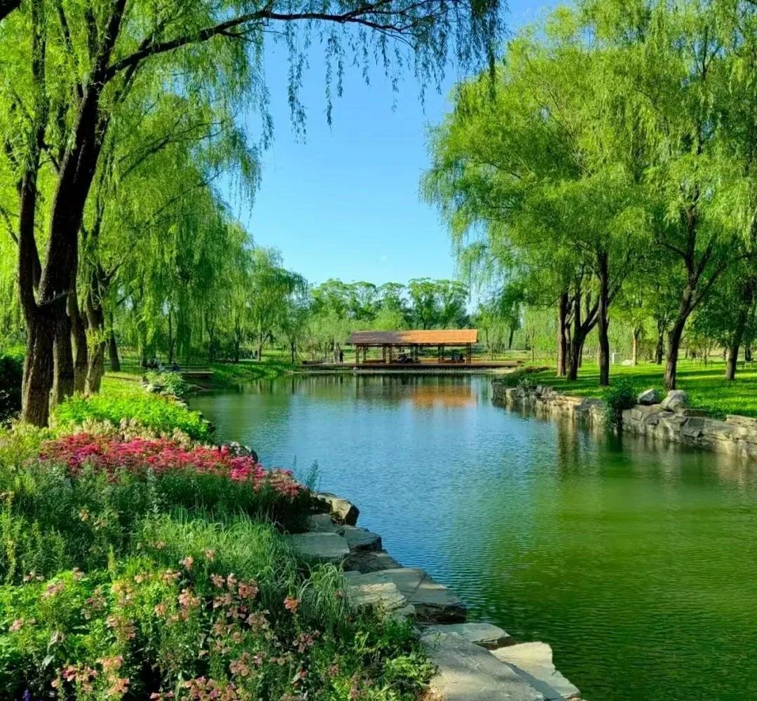 北京六郎庄公园的夏天很多人来北京旅游，颐和园是必游之选，但很多人不知道的是，位