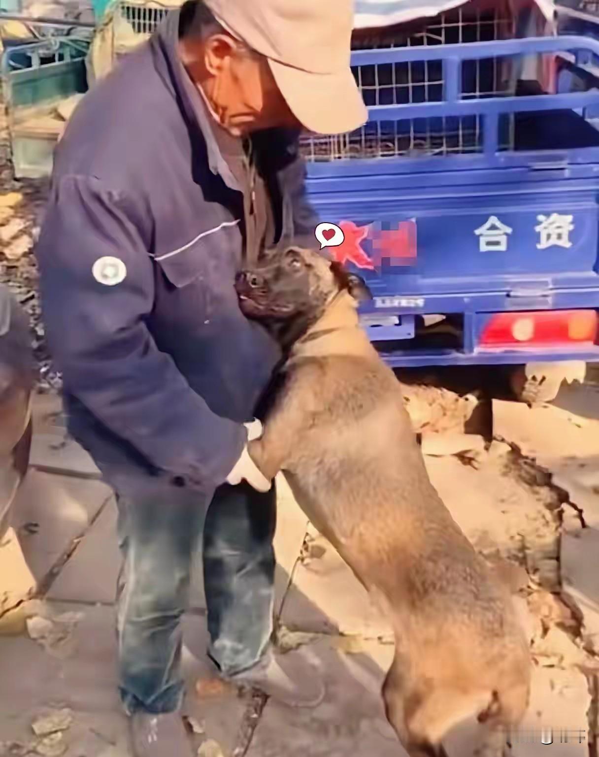 泪目了！一位老人养了一只狗狗很多年，可最近他老伴得病了，由于经济拮据，他不得不带