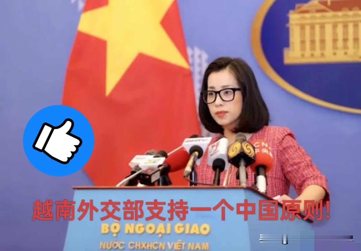 实属意外，越南亮明关键立场！11月27日，越南外交部发言人在例行记者会上明