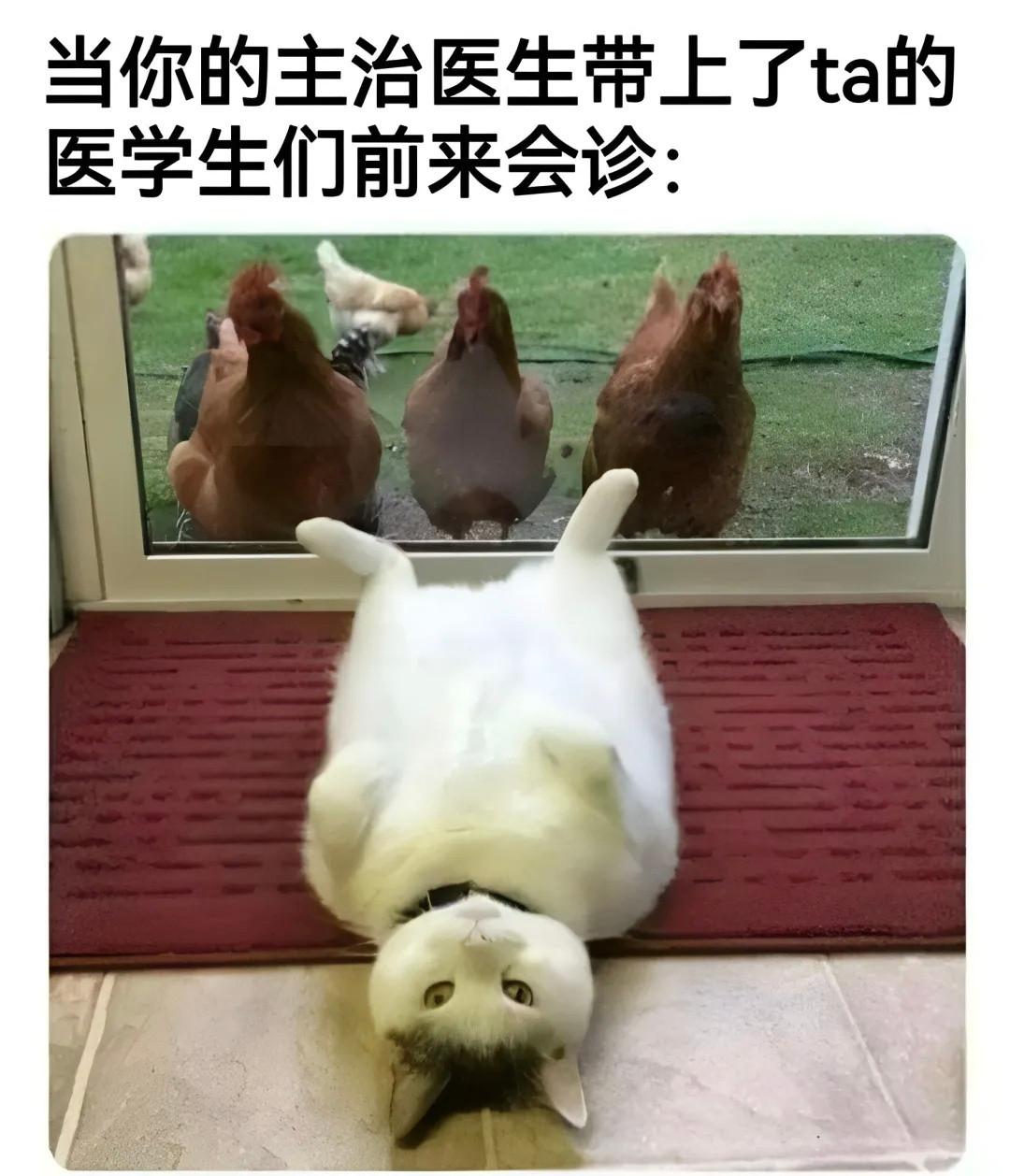 好尴尬[哭哭]​​​