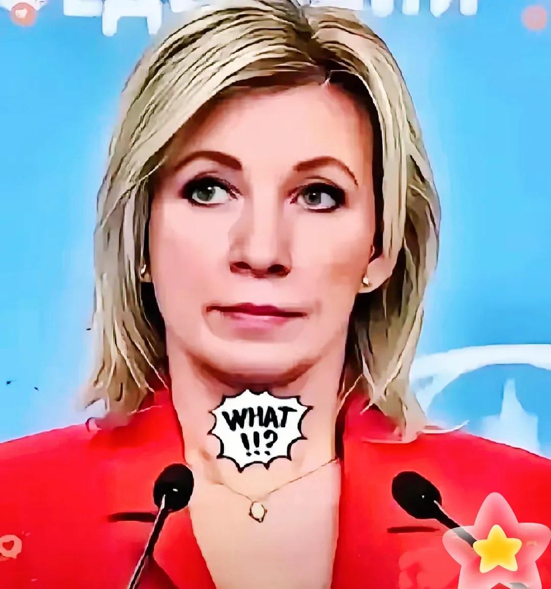 软柿子还是战略智慧？2370亿美元贸易额背后的东方大国博弈