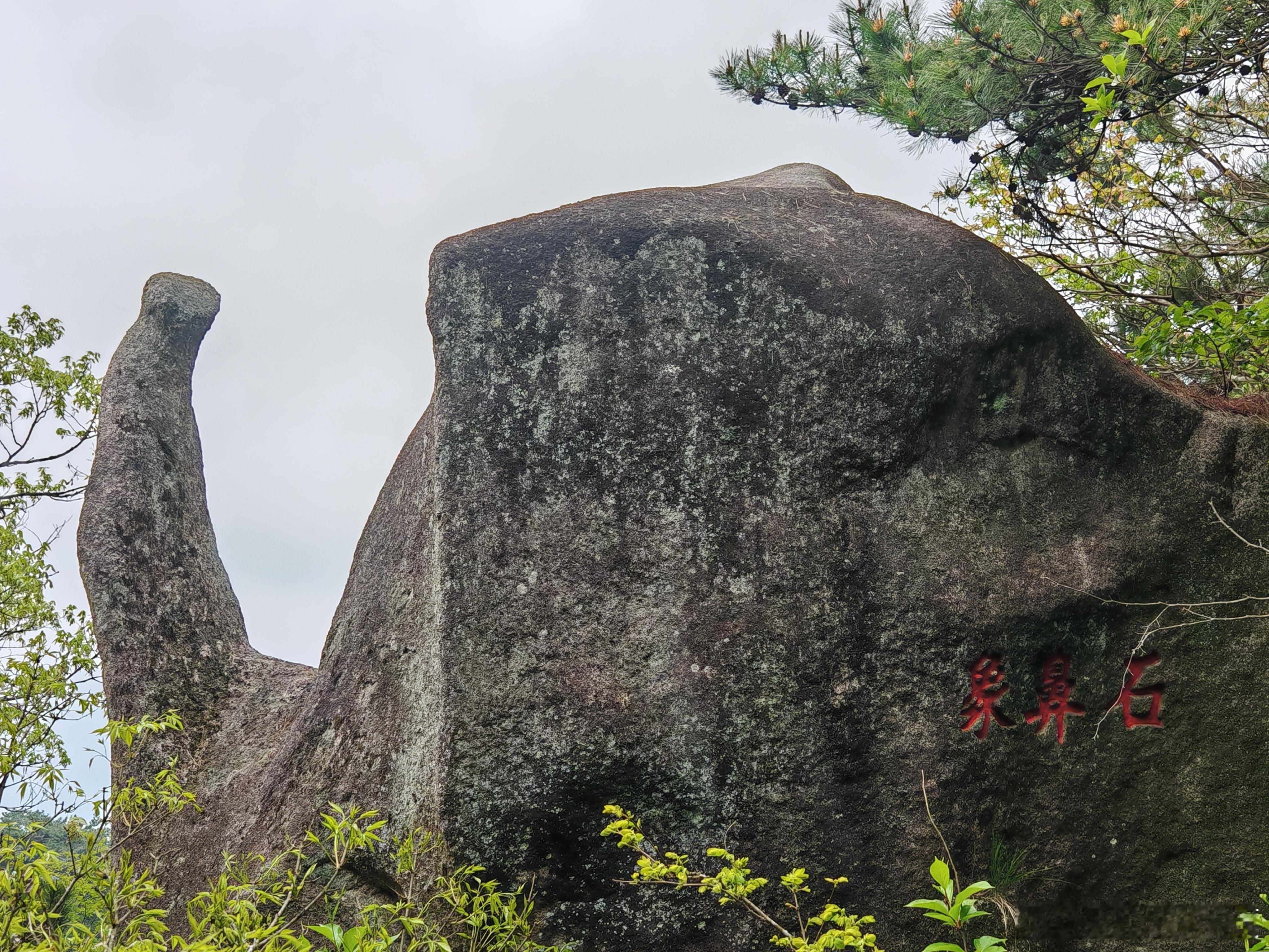 天柱山一日游保姆级攻略✨西进东出懒人路线｜大龙窝索道上🚡龙潭河索道下全程不走回