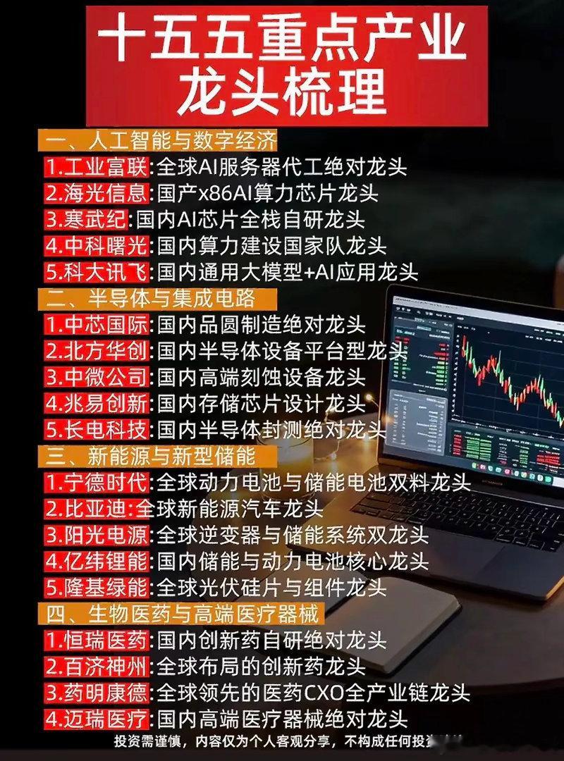 十五五重点几个行业的龙头公司。最近翻了十五五规划的重点赛道梳理，发现不少藏在政策