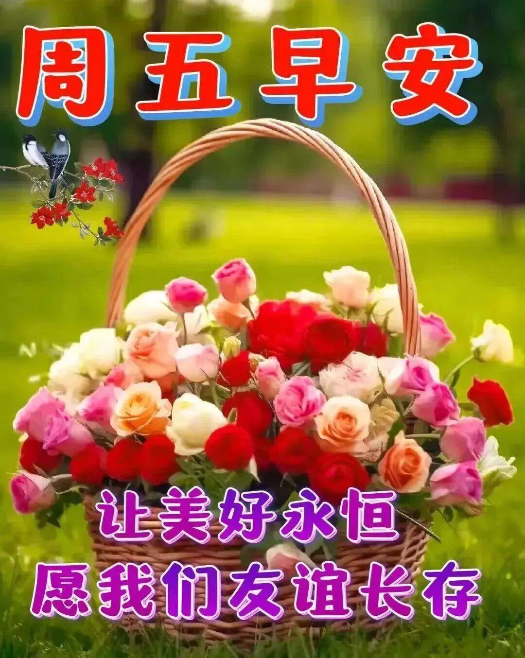 好运与希望，如同朝阳每日升起；问候与祝福，伴着清晨准时送达。没有华丽辞藻，唯有赤