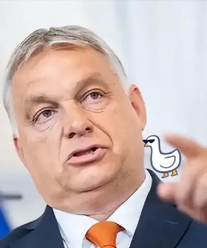 急报！布达佩斯刚放硬话，钱袋子不再替乌克兰埋单！据最新报道，匈牙利总理欧尔