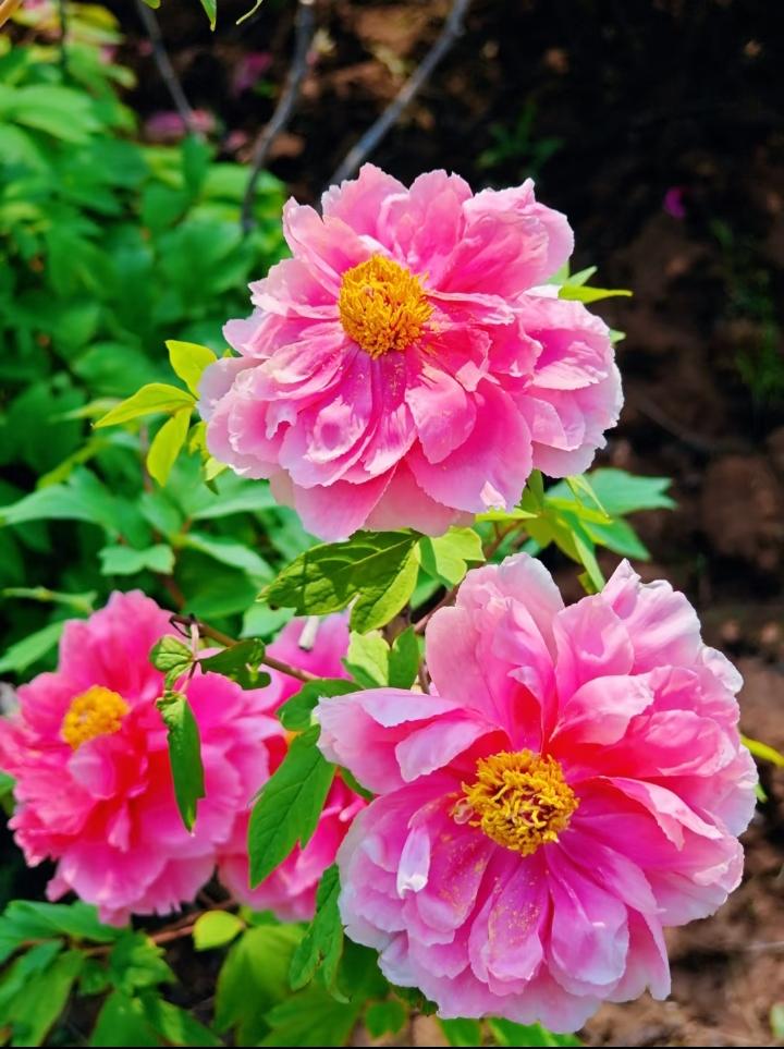 人民日报非常通透的一段话：“世界上什么都不公平，唯独时间最公平。时间会惩罚懒惰，