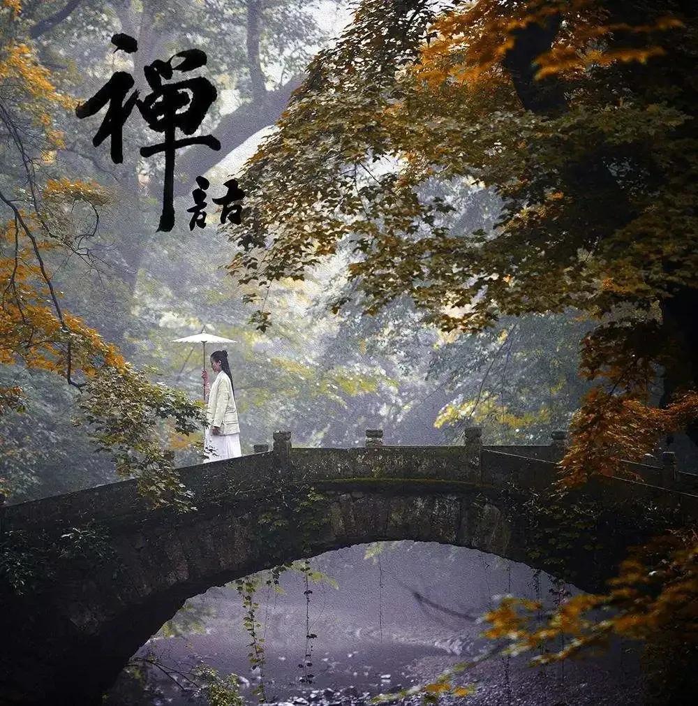 特别通透的一段话：“命里有时终须有，命里无时莫强求，万般皆是命，半点不由人。