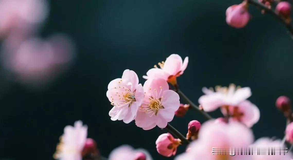 观察无数长期亲密关系会发现，多数女人愿意和一个男人长期保持联系，本质是这5点需求