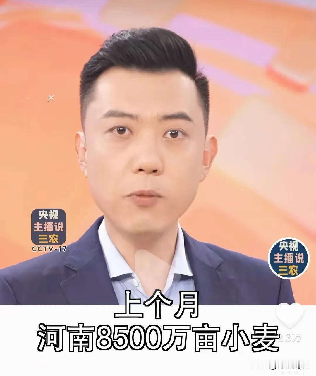 央视三农频道主播佳宁说，上个月河南8500万亩小麦统一都做了“一喷三防”，涉及到