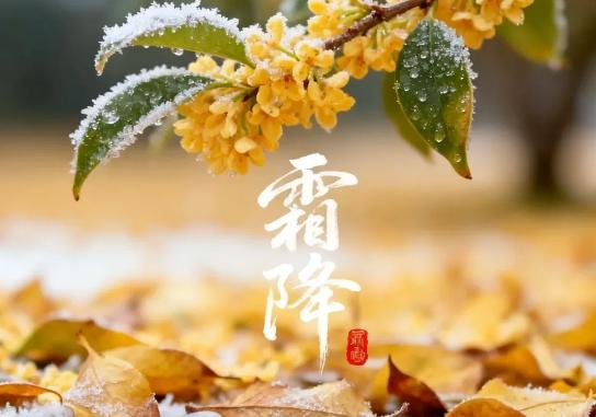 明日霜降，不管多忙，记得给孩子吃“1果2肉3菜”，应季而食，顺利入冬大家好，我