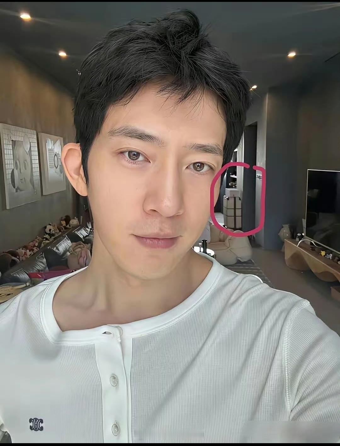 这届网友都是侦察班出身的吧！在近期井柏然晒出的照片中，网友竟然在井柏然的豪宅里