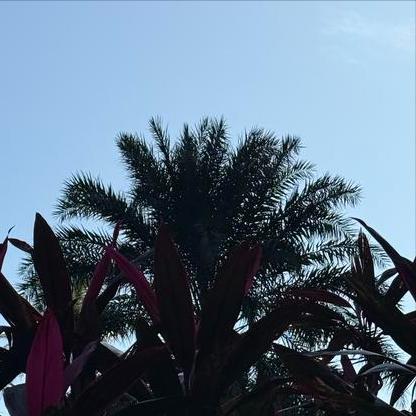 同一天  云南：执纪审查3人 12月2日，云南：执纪审查3人，分别是： 