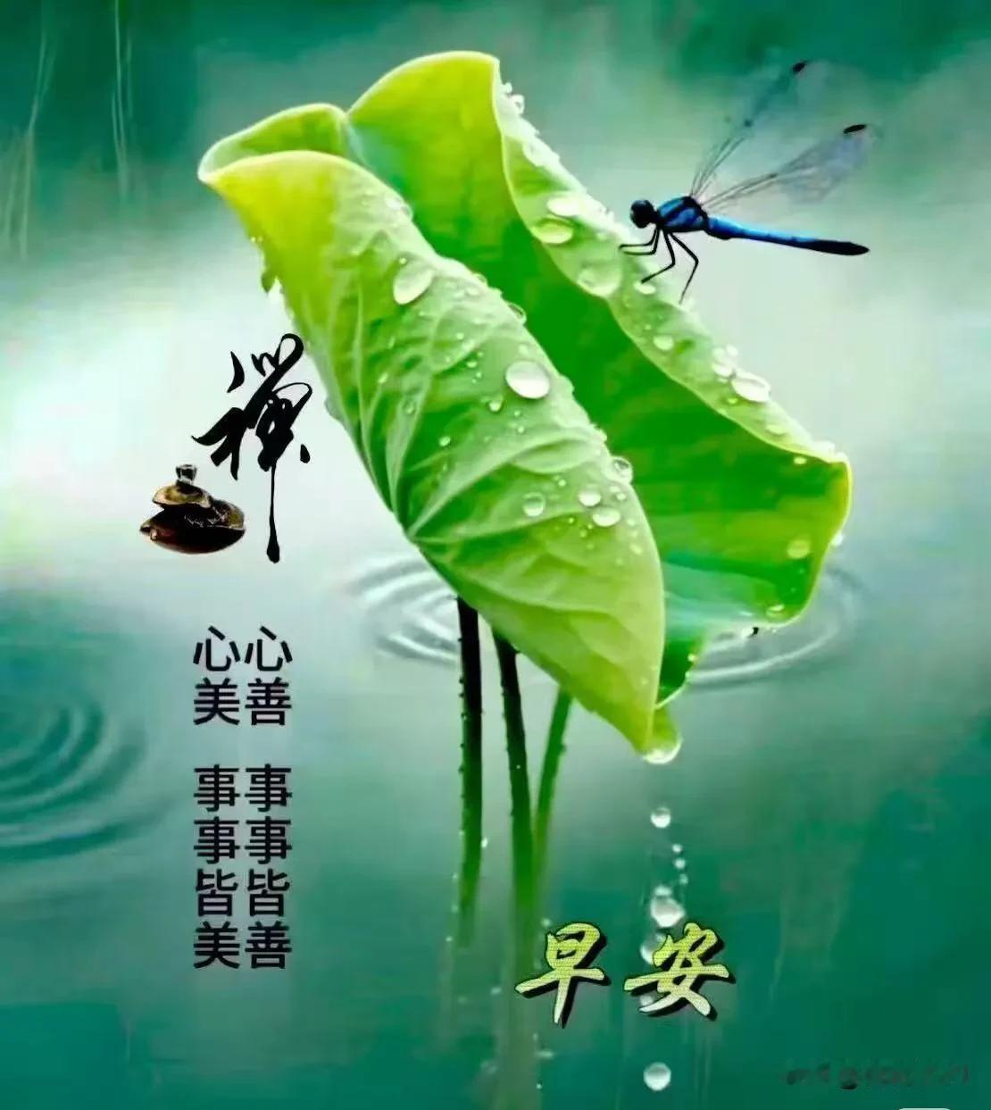 早安，清晨微风拂面，愿你一整天轻松舒心，好事接踵而至。