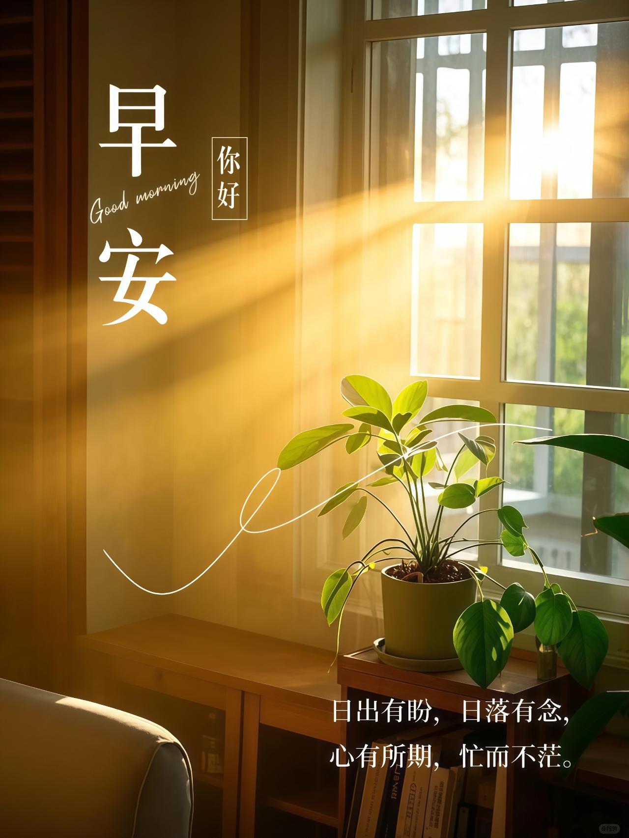 光渐盛，路渐宽，掌心常握一抹暖阳，眼底总盛满目星光。日子慢慢向好，好运悄悄