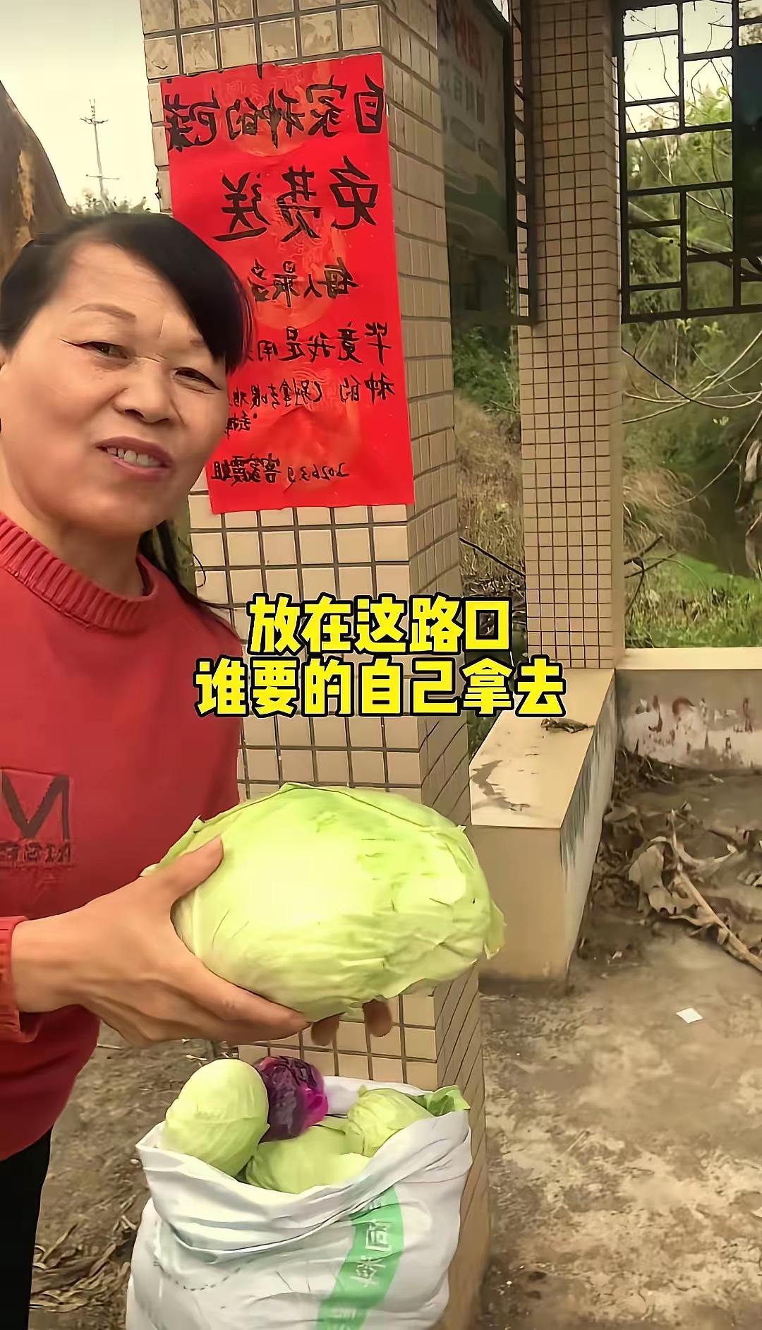 广东河源，一大姐将自家种的包菜堆在了马路边，本以为她要摆摊售卖，结果大姐写了个红