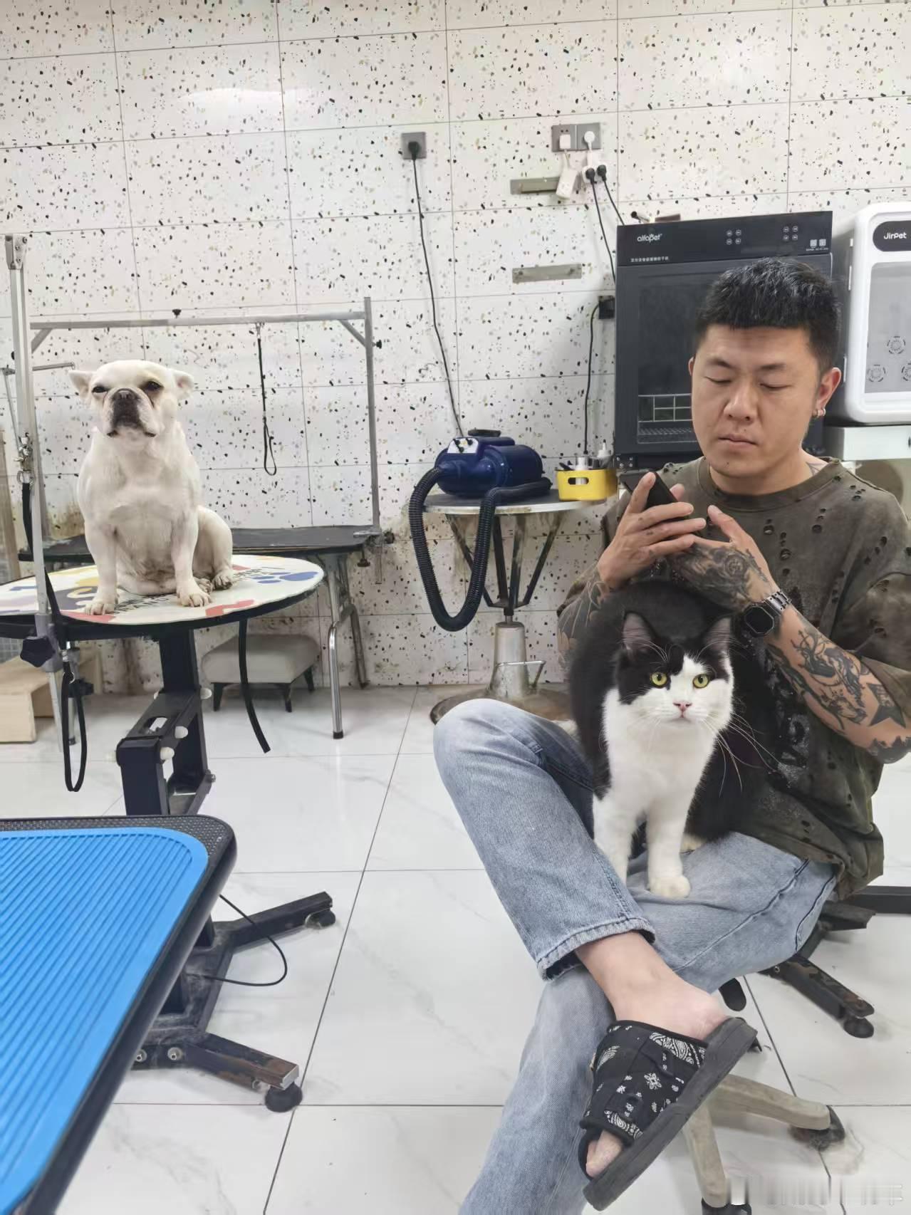休息一天，一不小心入股了一家宠物店。[捂脸哭][捂脸哭][捂脸哭]总之生命在于折腾。车