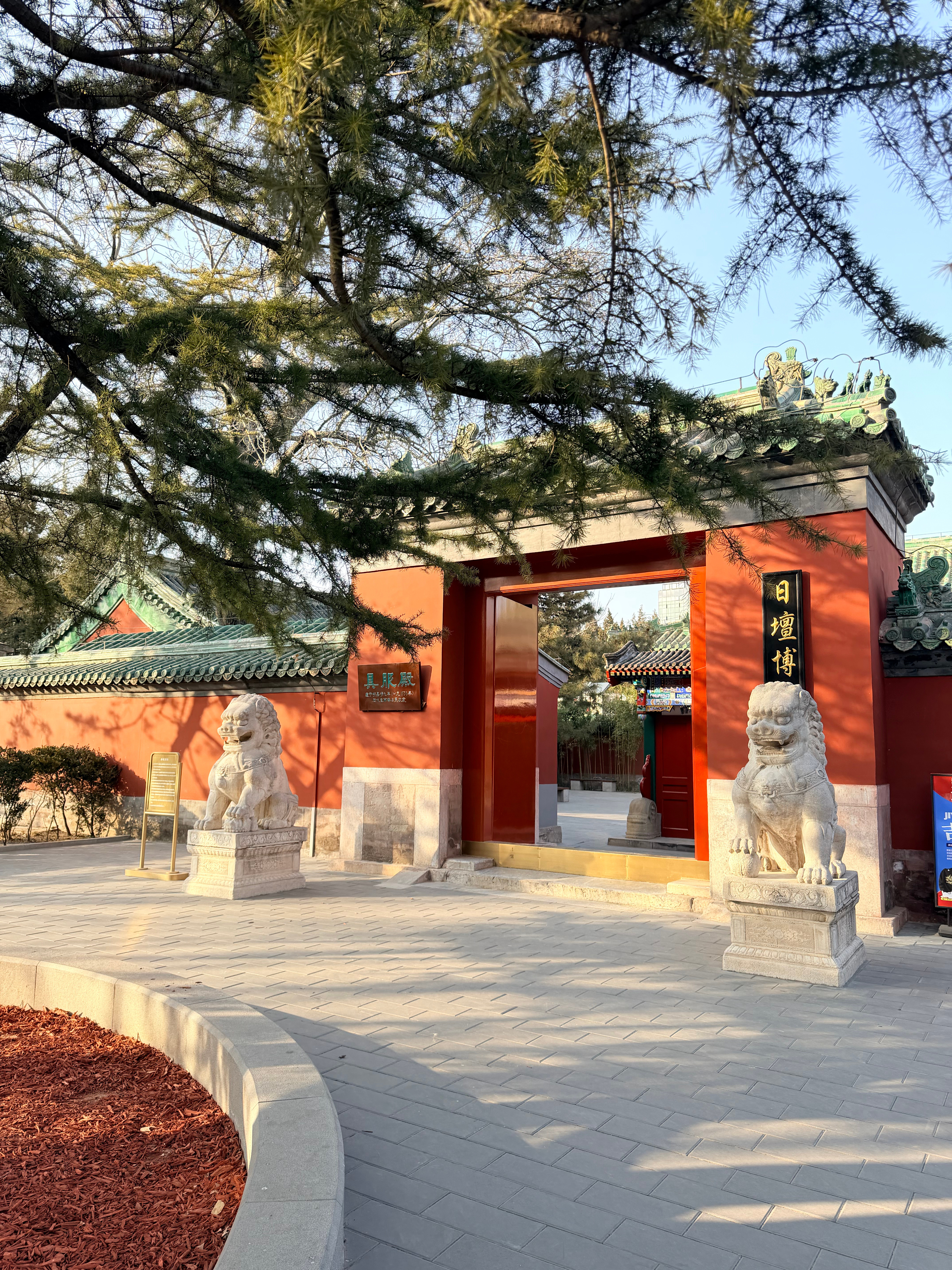 今日份的公园20分钟给到了日坛公园无法习惯北京冬天完全的光秃秃，到公园里看看松树