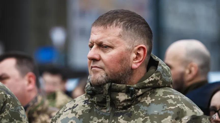 【炸裂！德国铁证如山：北溪爆炸幕后黑手竟是乌克兰前总司令？美媒捅破天大秘密！】