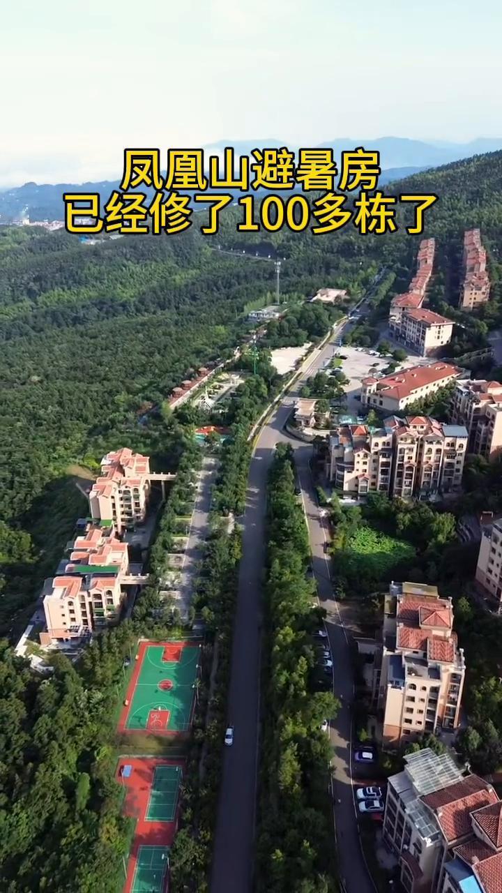凤凰山避暑房已经修了100多栋了。