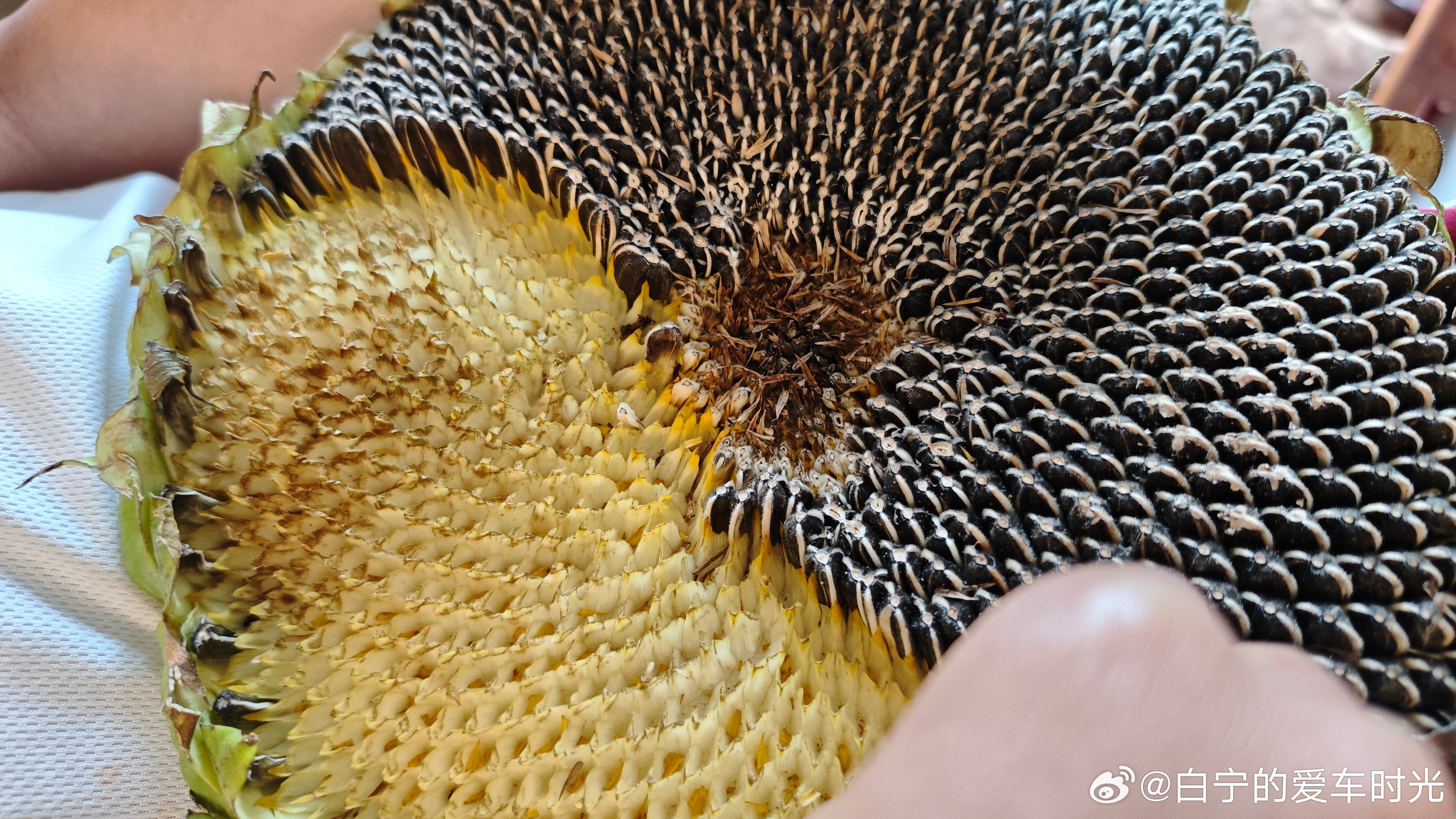 我儿的零食，绝对健康无添加。白话好吃的​​​