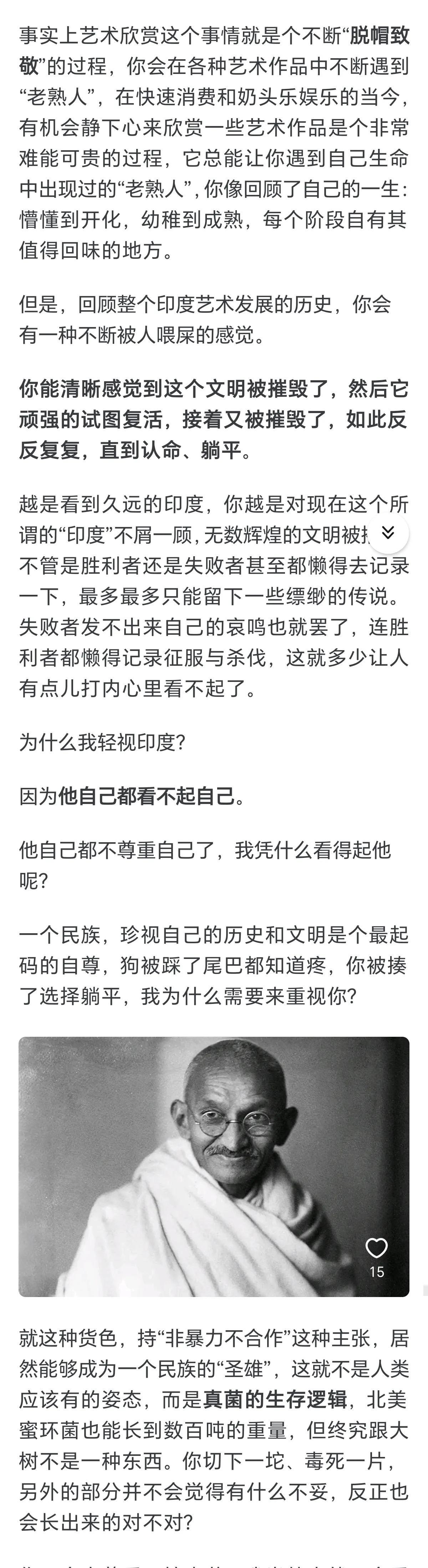 见解独到，这位大哥一看就是见过世面的人！总说不要轻视印度，就如同不要轻视当初的中