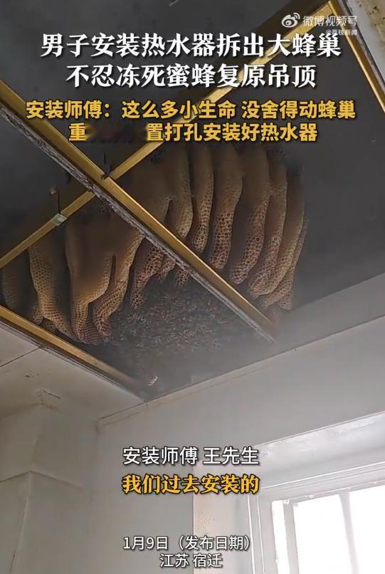 看的头皮发麻！江苏宿迁，一居民家中要安装热水器，可安装师傅拆开厨房吊顶后，却发现