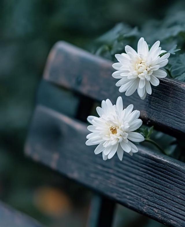 人死后有墓地好？还是没有墓地好？一、从中国传统来看1.拥有墓地的“好”：