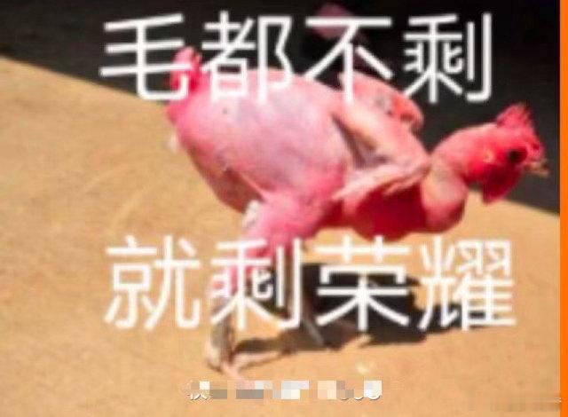 抢疯了！