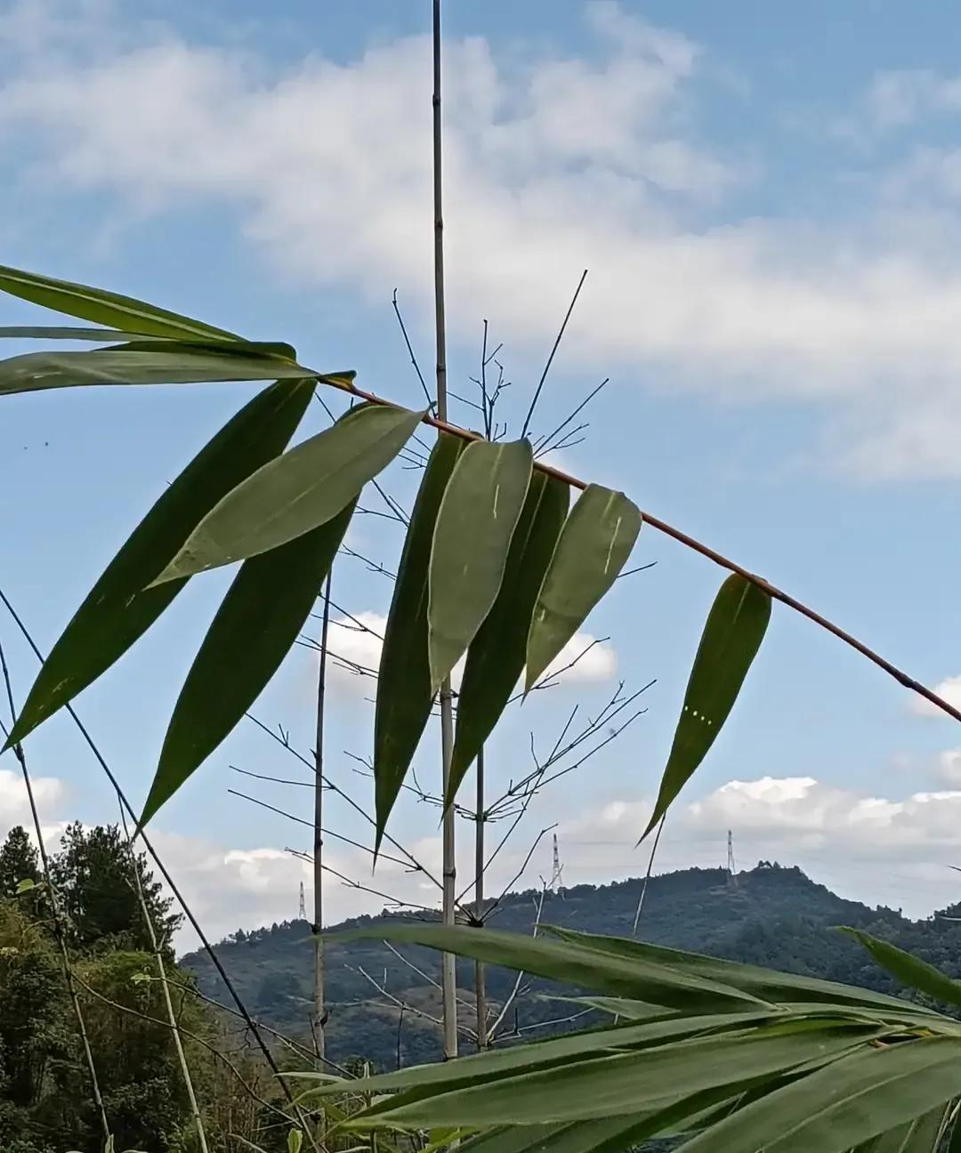 刷到一条高赞帖子说女生千万别把前任数量告诉现任，底下两千多条吵架。有人现身说法