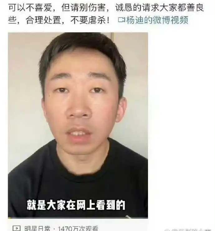 杨迪真的被骂惨了