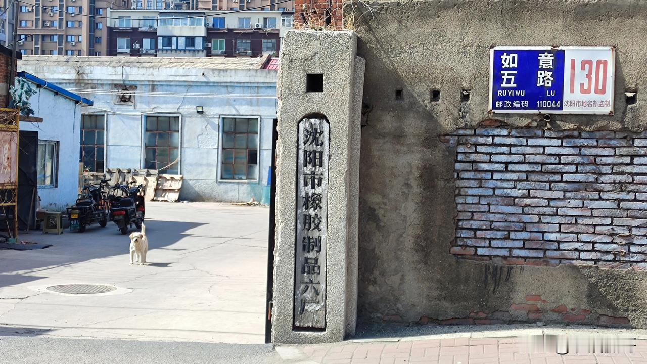 😯刚才路过这里，沈阳市大东区如意路，看到这家老老年的厂子～“沈阳市橡胶制品