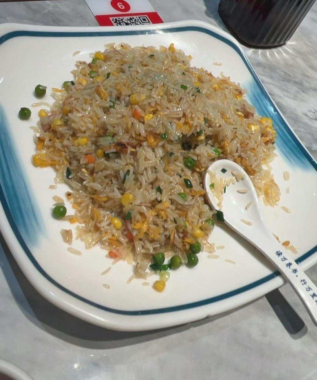 🥢始于扬州炒饭🥄止于扬州药膳鸡👋一年的扬州拜拜扬州·扬州站