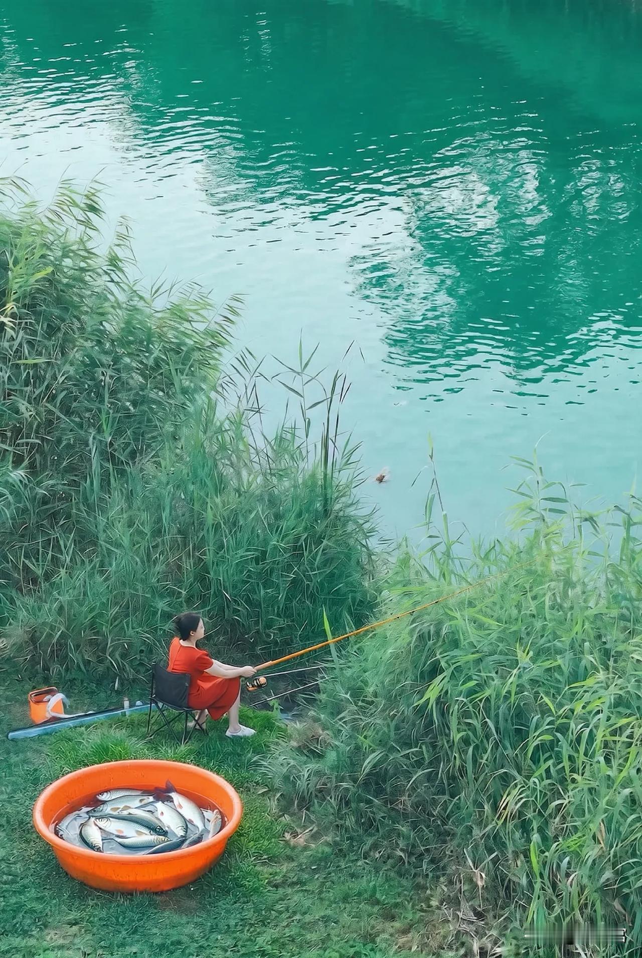 钓的是鱼吗？是一整个夏天的治愈站在桥上，看着满盆乱跳的惊喜，才懂得“坐看云卷云