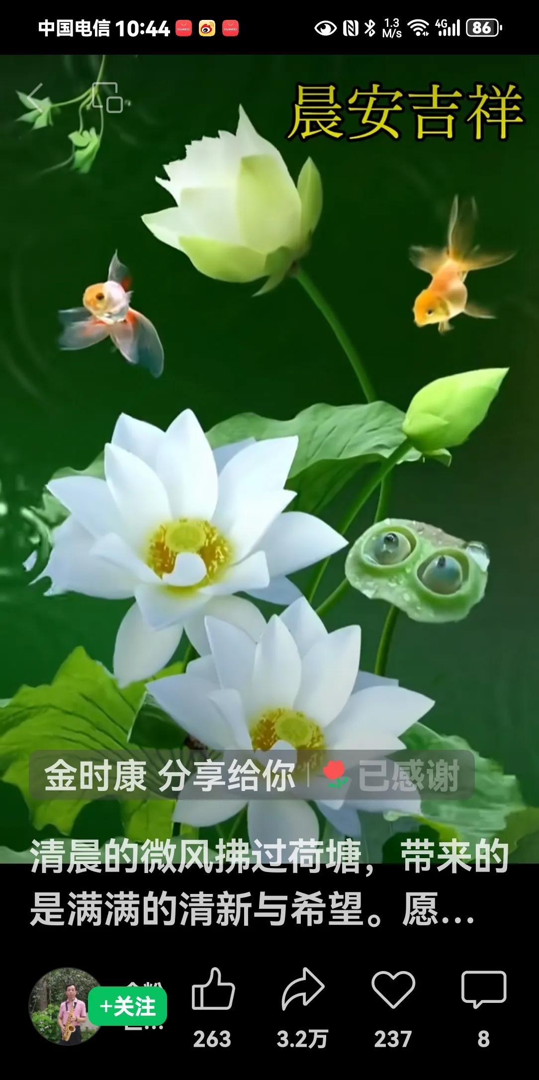 #手机随手拍原创图片#