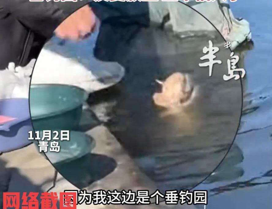 山东青岛有男子来垂钓园钓鱼。可让男子没有想到的事，自己还没有钓上一条鱼来，竟