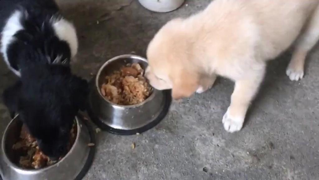 9477083661743305853.jpg?id=0