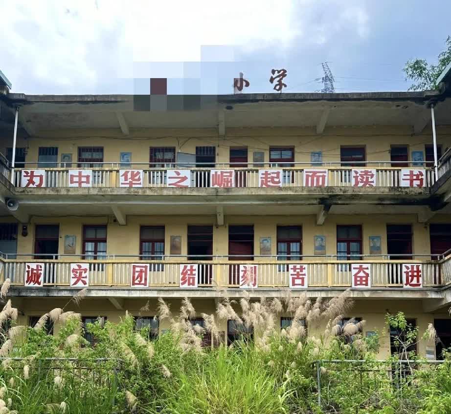 这几天回老家，路过儿时上学时村里的小学，看到大门敞开着，于是进去里边走了走，没想