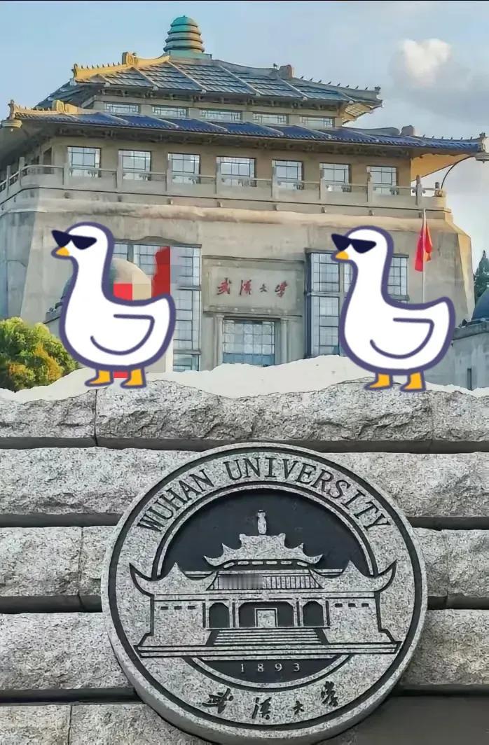杨景媛这个人完全不经扒因为一查你就发现逻辑漏洞太大了刚看到武大通报她