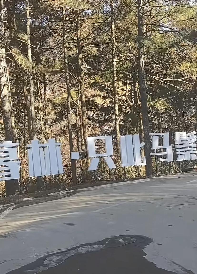 安徽金寨马鬃岭收费了！强制消费68元咖啡一杯！2026年1月13日有网友发文