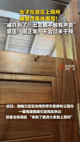 瘆得慌！海南三亚，女子在景区上厕所，刚蹲下就看到墙上爬着几只壁虎，她心头一紧，只